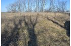 Property photo 20 - East Allen County - 55 Acre Land Auction